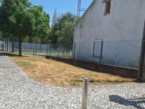 Canteiros de relva estão a morrer à sede relva 20250617 142920
