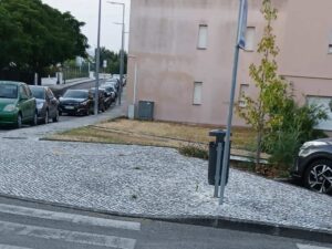 Canteiros de relva estão a morrer à sede relva 6 324f 4278 abfb f4a53dd6831a