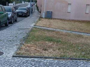 Canteiros de relva estão a morrer à sede relva c 425d abc7 822b900a1003