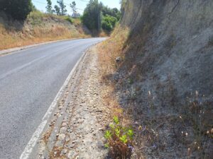 A odisseia de entrar a pé na cidade pela rua de Leiria (c/ fotos) rua de leiria 20250622 103227