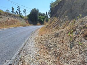 A odisseia de entrar a pé na cidade pela rua de Leiria (c/ fotos) rua de leiria 20250622 103236
