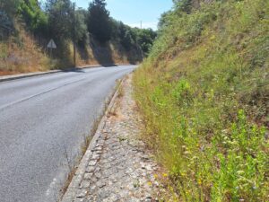 A odisseia de entrar a pé na cidade pela rua de Leiria (c/ fotos) rua de leiria 20250622 103259