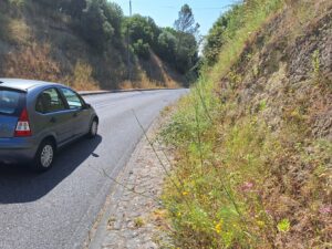 A odisseia de entrar a pé na cidade pela rua de Leiria (c/ fotos) rua de leiria 20250622 103316
