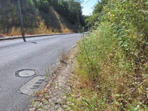 A odisseia de entrar a pé na cidade pela rua de Leiria (c/ fotos) rua de leiria 20250622 103330