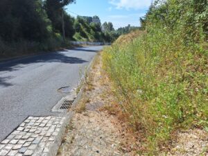 A odisseia de entrar a pé na cidade pela rua de Leiria (c/ fotos) rua de leiria 20250622 103355