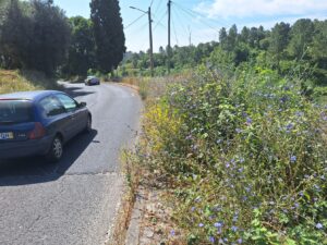 A odisseia de entrar a pé na cidade pela rua de Leiria (c/ fotos) rua de leiria 20250622 103518
