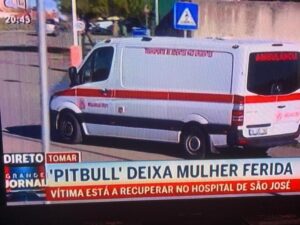 Jovem carteira de Tomar atacada por Pitbull ficou em estado grave IMG 20250731 WA0007
