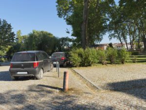 Mouchão: o plátano e o estacionamento irregular estacionamento mouchao 2025 05 24
