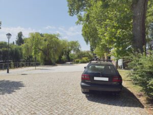 Mouchão: o plátano e o estacionamento irregular estacionamento mouchao 2025 05 29