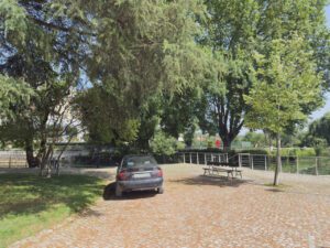 Mouchão: o plátano e o estacionamento irregular estacionamento mouchao 2025 05 30 01
