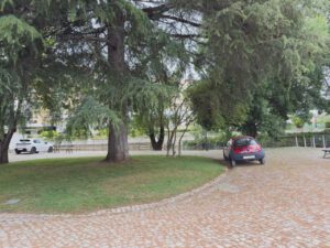 Mouchão: o plátano e o estacionamento irregular estacionamento mouchao 2025 06 01 03