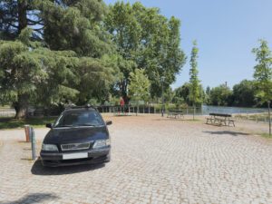 Mouchão: o plátano e o estacionamento irregular estacionamento mouchao 2025 06 06 01