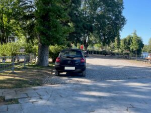 Mouchão: o plátano e o estacionamento irregular estacionamento mouchao 2025 06 06 03
