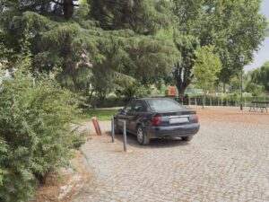 Mouchão: o plátano e o estacionamento irregular estacionamento mouchao 2025 06 19