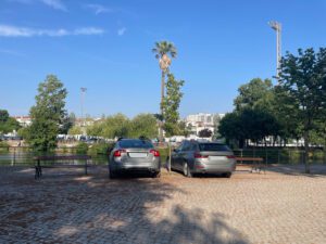 Mouchão: o plátano e o estacionamento irregular estacionamento mouchao 2025 07 05 01