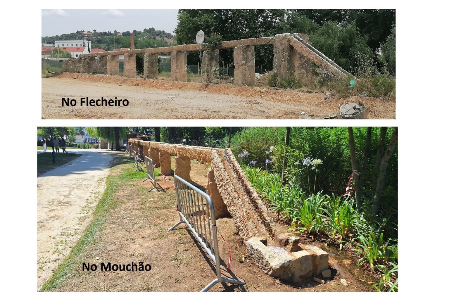 flecheiro calheiro 2