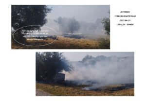 Câmara criticada por não limpar os seus terrenos limpeza terrenos INCENDIO 2025 2 2 page 0001