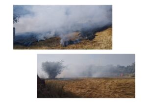 Câmara criticada por não limpar os seus terrenos limpeza terrenos INCENDIO 2025 2 2 page 0002