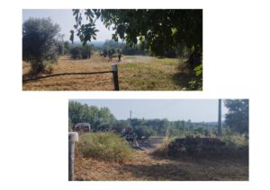 Câmara criticada por não limpar os seus terrenos limpeza terrenos INCENDIO 2025 2 2 page 0004