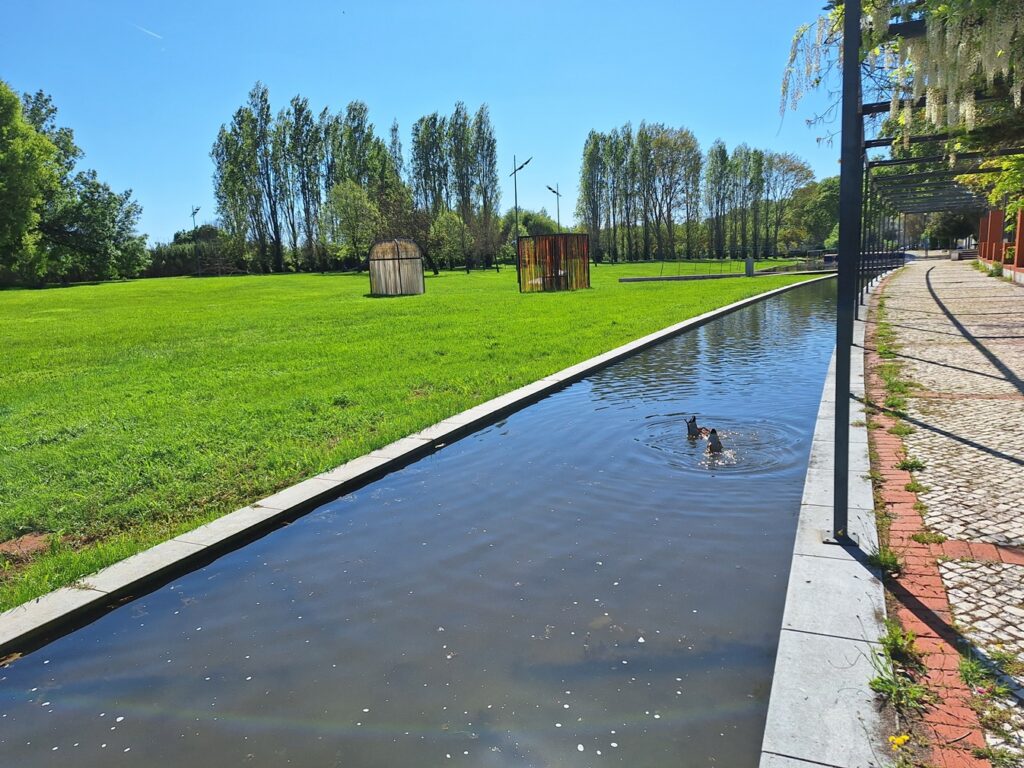Parque ribeirinho de Vila Nova da Barquinha inaugurado há 20 anos parque ribeirinho barquinha 20250423 163007