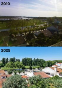 Parque ribeirinho de Vila Nova da Barquinha inaugurado há 20 anos parque ribeirinho barquinha tiago santos 657999537179973 1055587532463718277 n