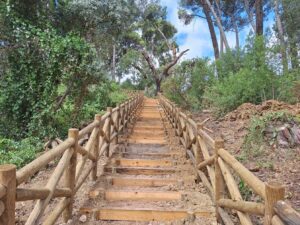Novo passadiço no pinhal de Santa Bárbara sem ligação ao bairro Nª Srª dos Anjos pinhal de santa barbara 20250712 103526