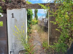 Novo passadiço no pinhal de Santa Bárbara sem ligação ao bairro Nª Srª dos Anjos pinhal de santa barbara 20250712 104126