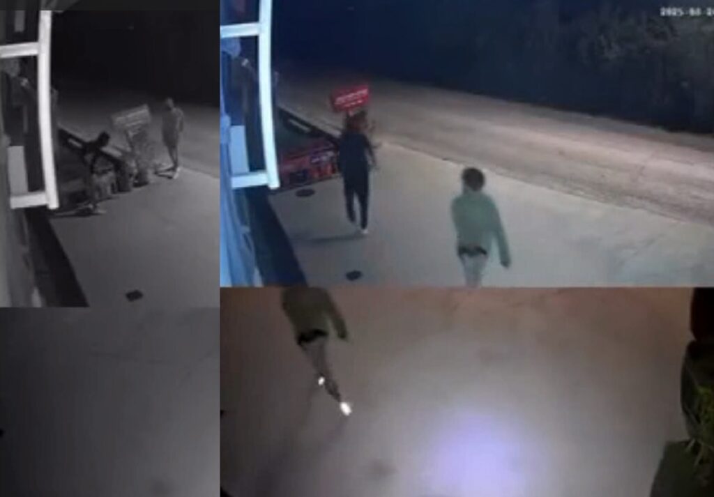 Tentativa de assalto a uma drogaria na freguesia de Paialvo (c/ vídeo) assalt