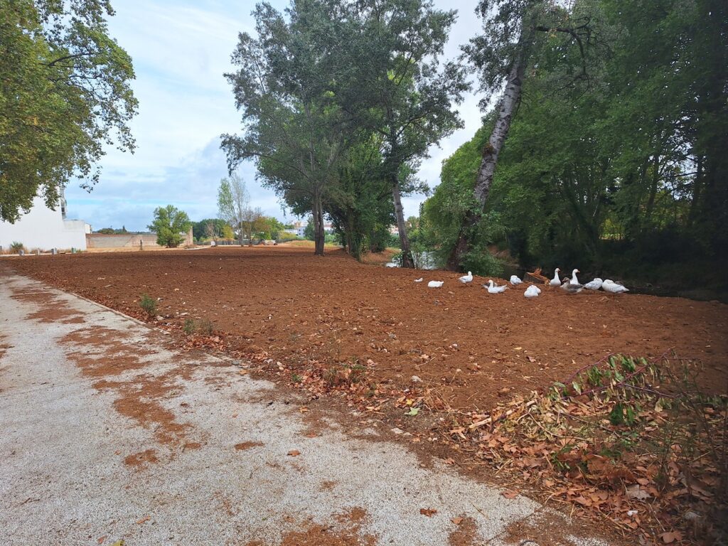 Obras no Flecheiro só terminam a 16 de outubro flecheiro 20250831 095755