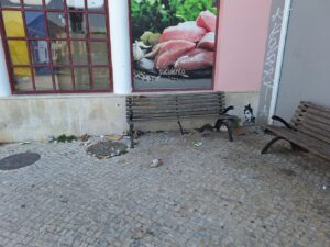 Mais um fim de semana com muito lixo nas ruas de Tomar (c/ fotos) lixo 20250815 110426