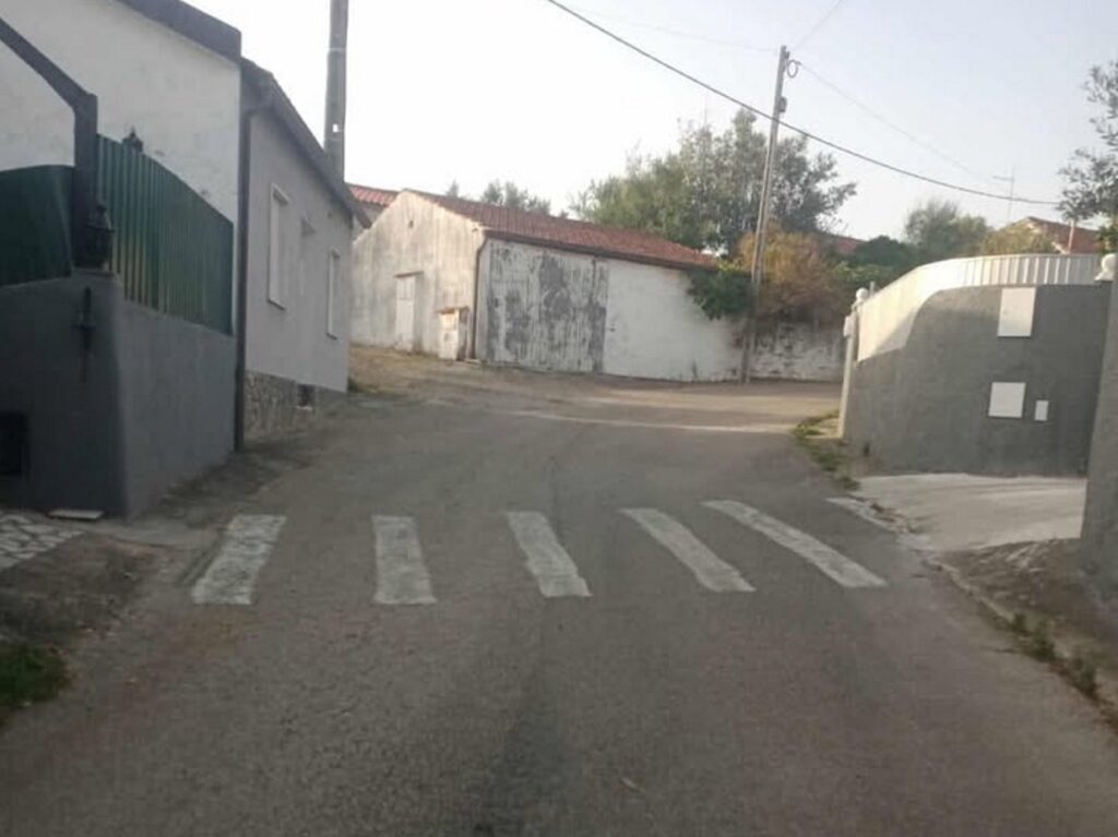 passadeira 400759307169 1420689979397730189 n Copia