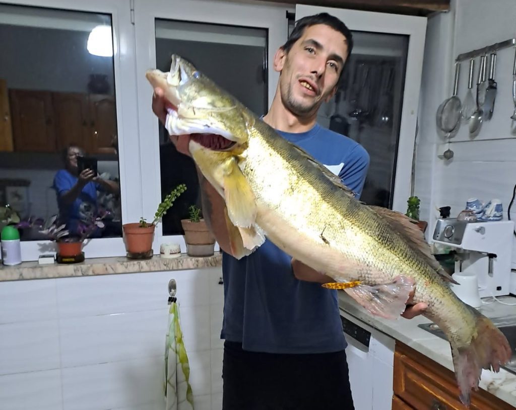 Helder Silva com um Lúcioperca que pescou no rio Tejo