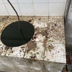 Desleixo e falta de civismo na cidade de Tomar 6