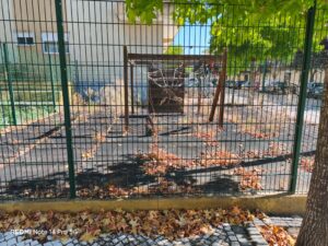 Parque infantil ou jardim zoológico Imagem WhatsApp 2025 09 15 as 13.33.28 83b8e6b1