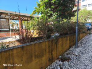 Parque infantil ou jardim zoológico Imagem WhatsApp 2025 09 15 as 13.33.30 5ca0a2e8