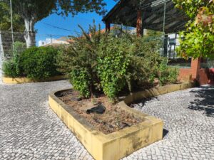 Parque infantil ou jardim zoológico Imagem WhatsApp 2025 09 15 as 13.33.30 8d967e4a
