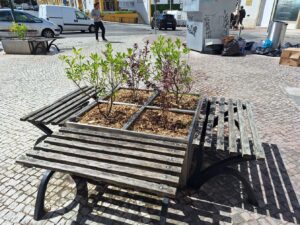 Canteiros renovados na alameda Um de Março canteiros 20250901 120114 1