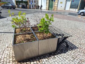 Canteiros renovados na alameda Um de Março canteiros 20250901 120123