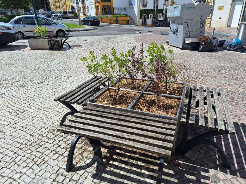 Canteiros renovados na alameda Um de Março canteiros 20250901 120134
