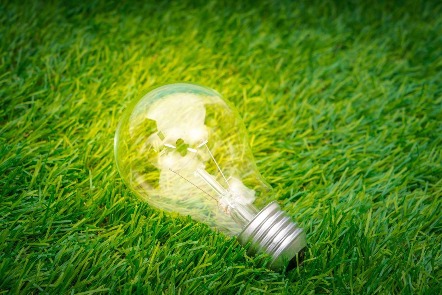 Goldenergy e a Mobilidade Elétrica: compromisso para um futuro sustentável eco concept light bulb grow grass 1