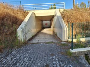 Túnel em S. Lourenço está “uma vergonha” tunel s. lourenco 20250913 083050