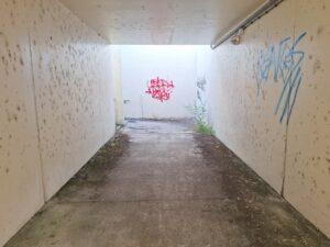 Túnel em S. Lourenço está “uma vergonha” tunel s. lourenco 20250913 083108