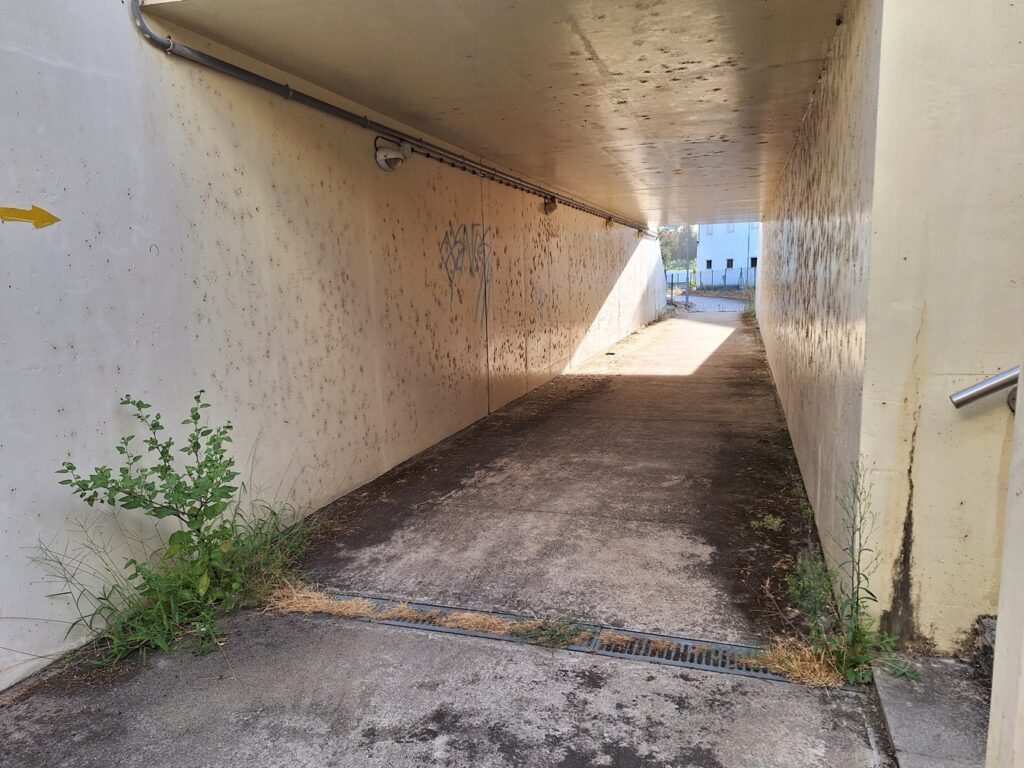 Túnel em S. Lourenço está “uma vergonha” tunel s. lourenco 20250913 083129