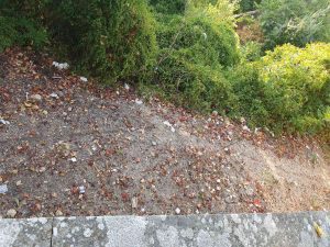 Lixo acumula-se num dos principais acessos ao Convento de Cristo Messenger creation F8B425D1 E1C7 480A A1BD 176C83FA503E