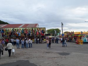 Feira de Santa Iria atrai milhares a Tomar (c/ fotos) feira de santa iria 20251019 162357