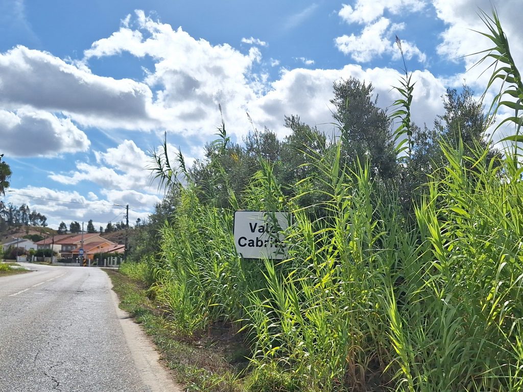 Que terra é esta? vale cabrito 20251020 142948