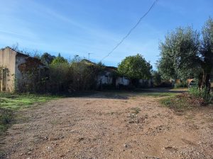 Homem encontrado morto no bairro Património dos Pobres bairro patrimonio dos pobres 20251102 092223
