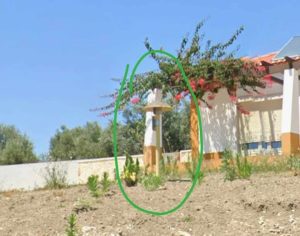 Habitação construída em cima do gasoduto gasodut 682258945240389 1775770578476837914 n