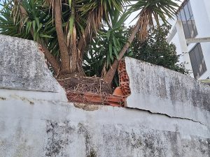 muro 20251122 163739