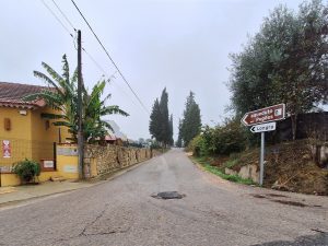 venda da gaita 20251110 092134